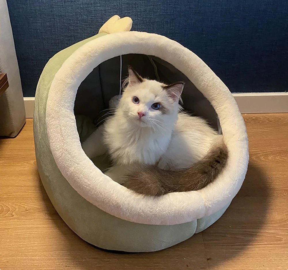Deep Sleep Cat Bed Cartoon Pet Bed Foldable Removable Washable Pet Sleeping Bed for Small Dog Mat Bag Cave Cats Bed Deep Sleep Cat Bed Cartoon Pet Bed Foldable Removable Washable Pet Sleeping Bed for Small Dog Mat Bag Cave Cats Bed