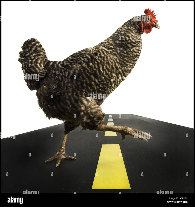 Spain - chicken road casino Spain - chicken road casino